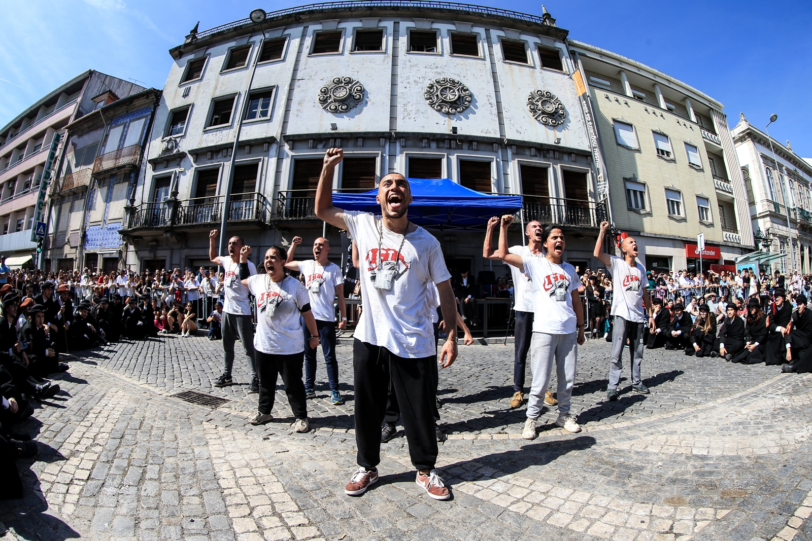 Thumbnail da galeria Cortejo